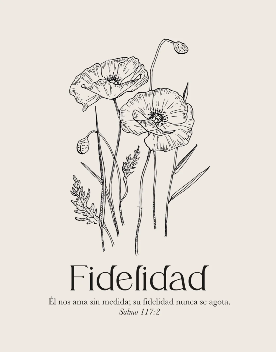 Novedades